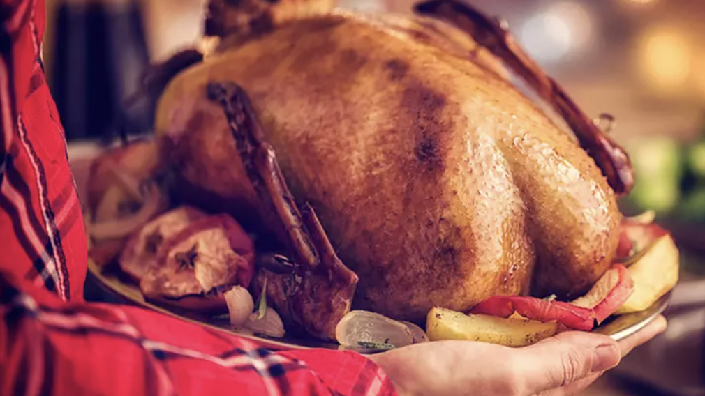 getvoila.com logo