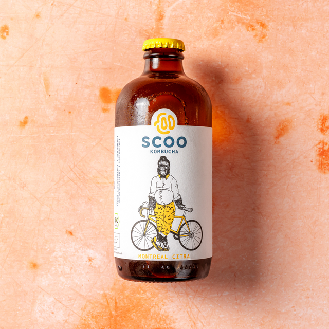 Frau Dr. Schneider's Grilled Cheese Wonderland Bio Kombucha - Scoo Montreal Citra (330ml) Klassisch
